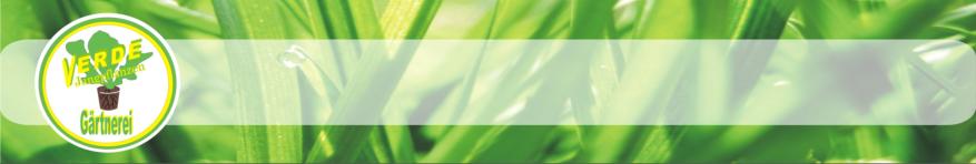 Verde Jungpflanzen - Kopfzeile mit Logo